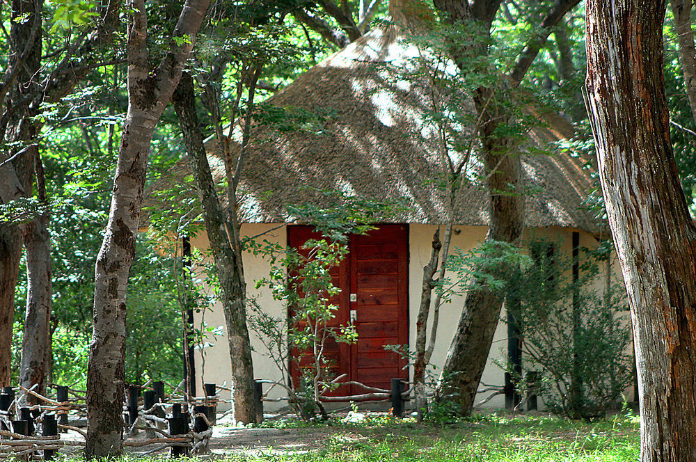 Dete Gwango Heritage Resort מראה חיצוני תמונה